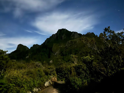 Kauaeranga Kauri Trail (Pinnacles Walk)-Thames必去景点