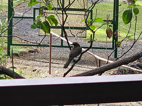 Dave & Dave's Costa Rica Nature Park-La Virgen必去景点