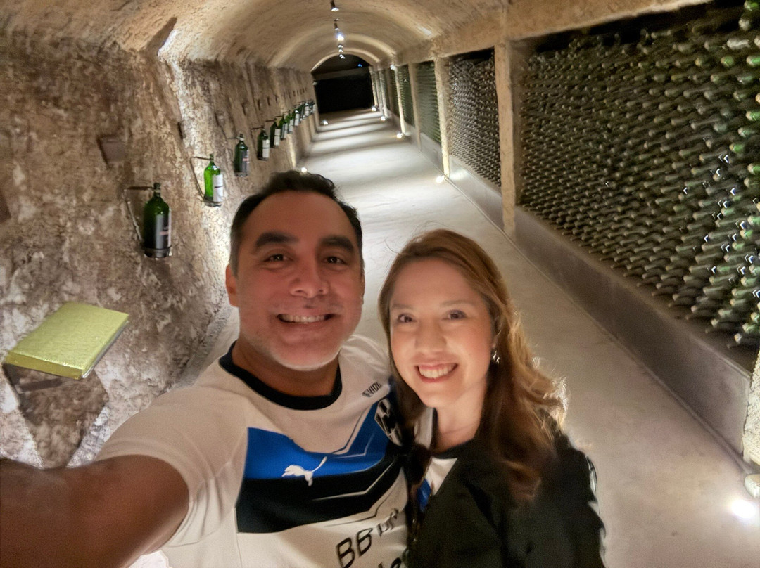 Bodegas Domecq-恩塞纳达必去景点