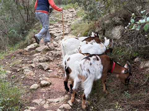 Euro Goat Trekkers-Tarbena必去景点
