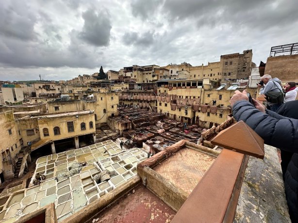 阿尔基拉非斯饭店-官方