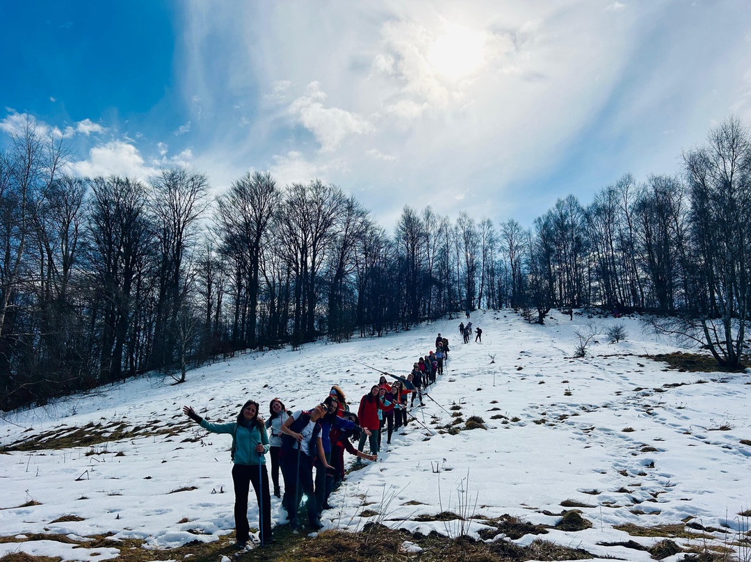 Sibiu Guide Nico-锡比乌必去景点