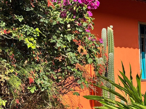 Posada Casa Riqui Riqui主图