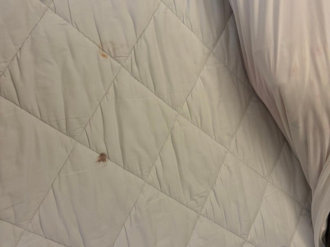 舒适酒店格伦蒙特 - 奥尔巴尼南主图