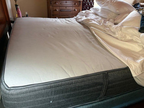 Joshua Wilton House主图