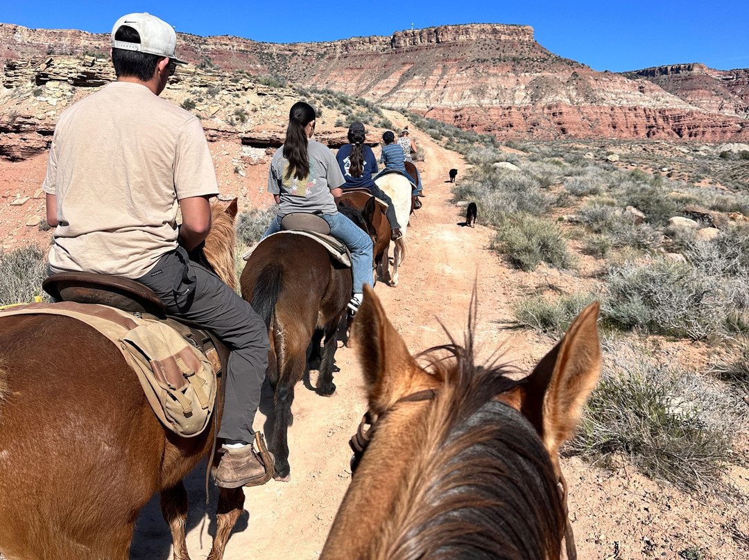 Shelleys Custom Horse Tours-Virgin必去景点
