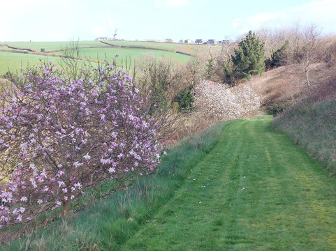 Fast Rabbit Farm Gardens-达特茅斯必去景点