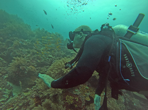 薄荷岛潜水俱乐部潜水中心-邦劳岛必去景点