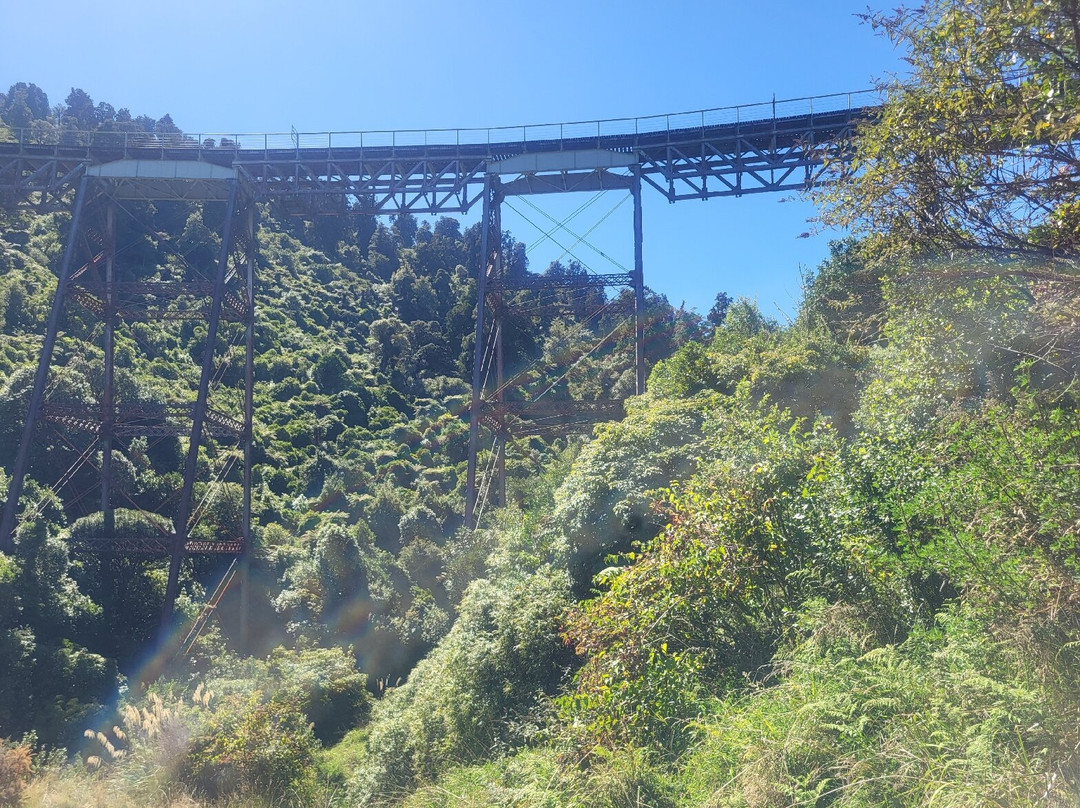 Ohakune Old Coach Road-汤加里罗国家公园必去景点