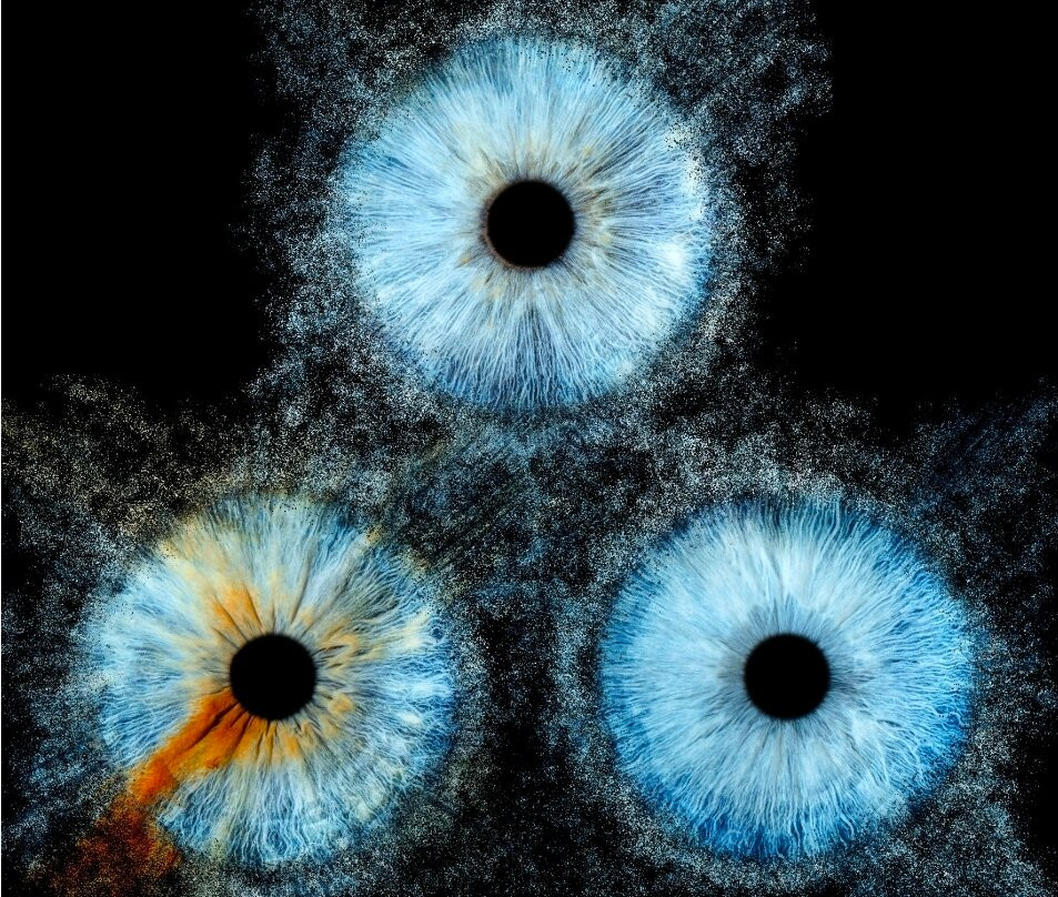 Iris Galerie Utrecht-乌特勒支必去景点