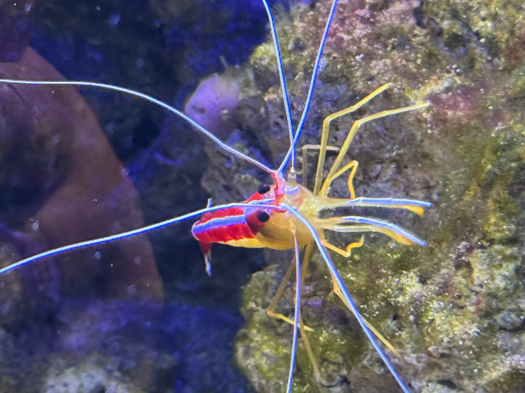 Aquarium De Touraine-Lussault-sur-Loire必去景点