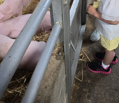 Hesketh Farm Park-斯基普顿必去景点