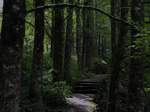 Garden Park Gramado-格拉玛多必去景点