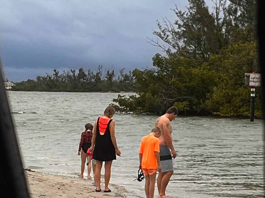 Sip N' Slip Tours-萨拉索塔必去景点