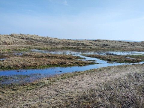 Tentsmuir Forest-Tayport必去景点