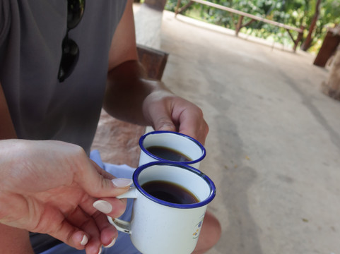 Dees Costa Rica Tours-Playa Flamingo必去景点