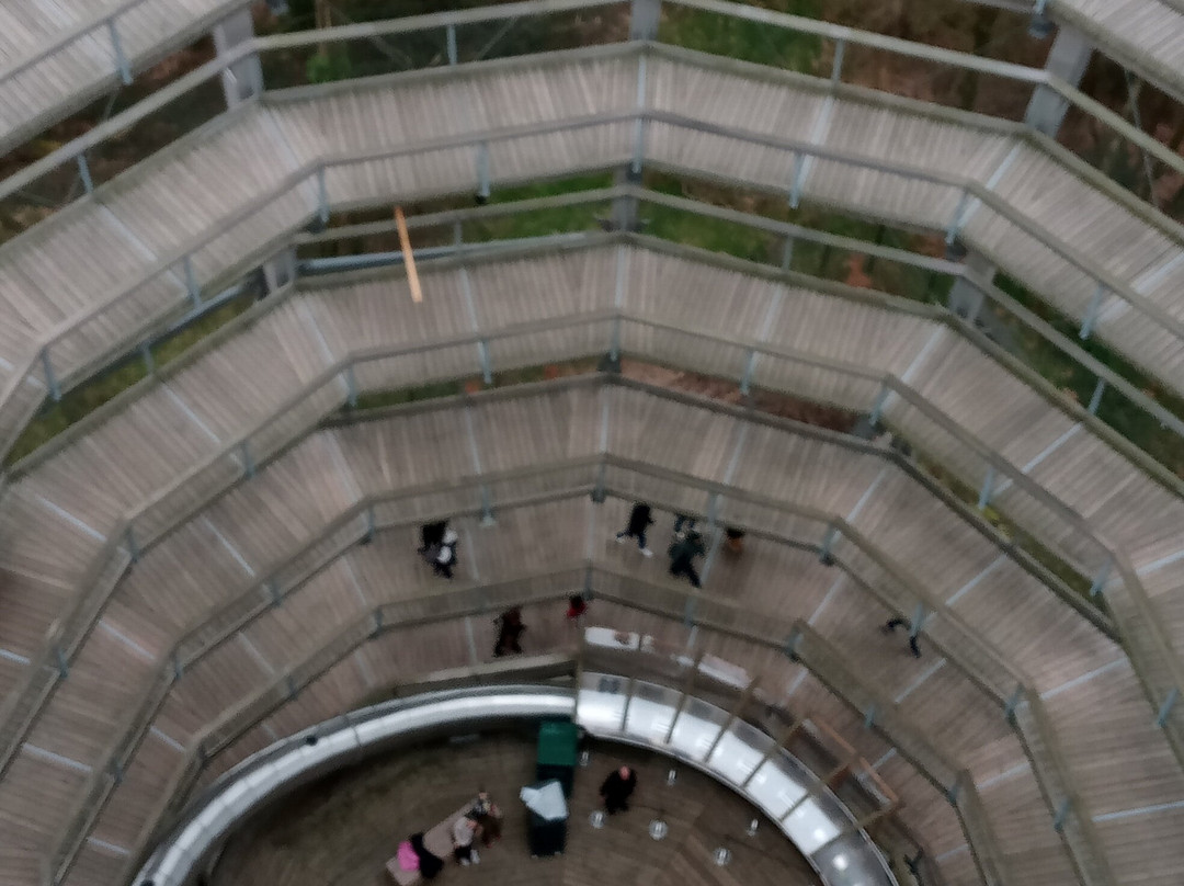 Beyond the Trees Avondale-Rathdrum必去景点