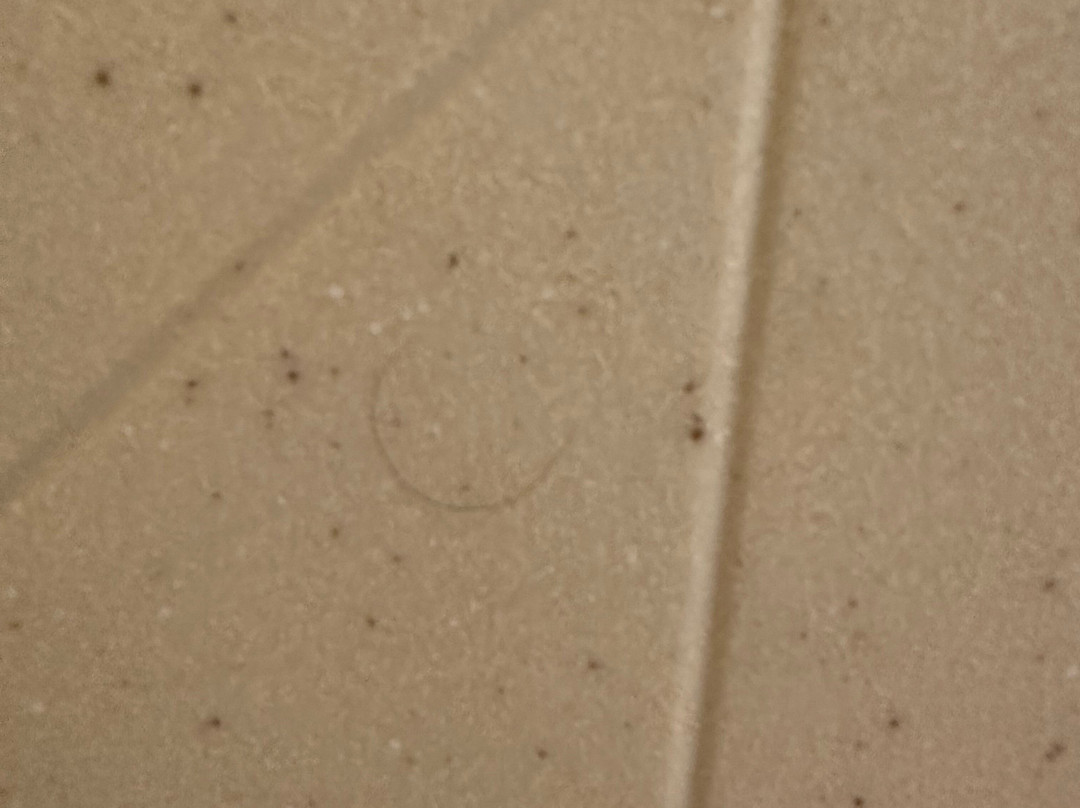 韦斯特福德切姆斯福德欢朋套房酒店主图