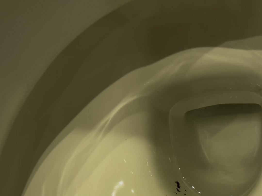 圣奥尔本斯市中心旅客之家酒店主图