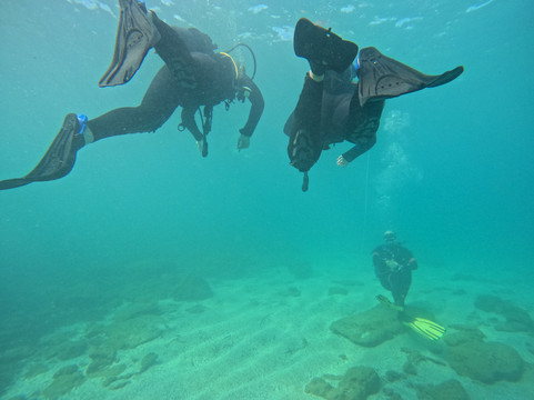 Coral Diving Crete-Anissaras必去景点