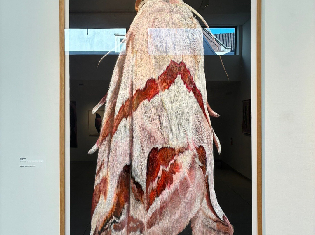 Museum JAN-阿姆斯特尔芬必去景点