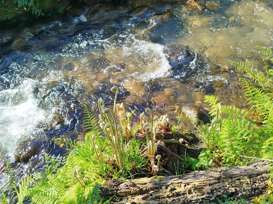 Ruta de Senderismo Rio Da Fraga-Moana必去景点