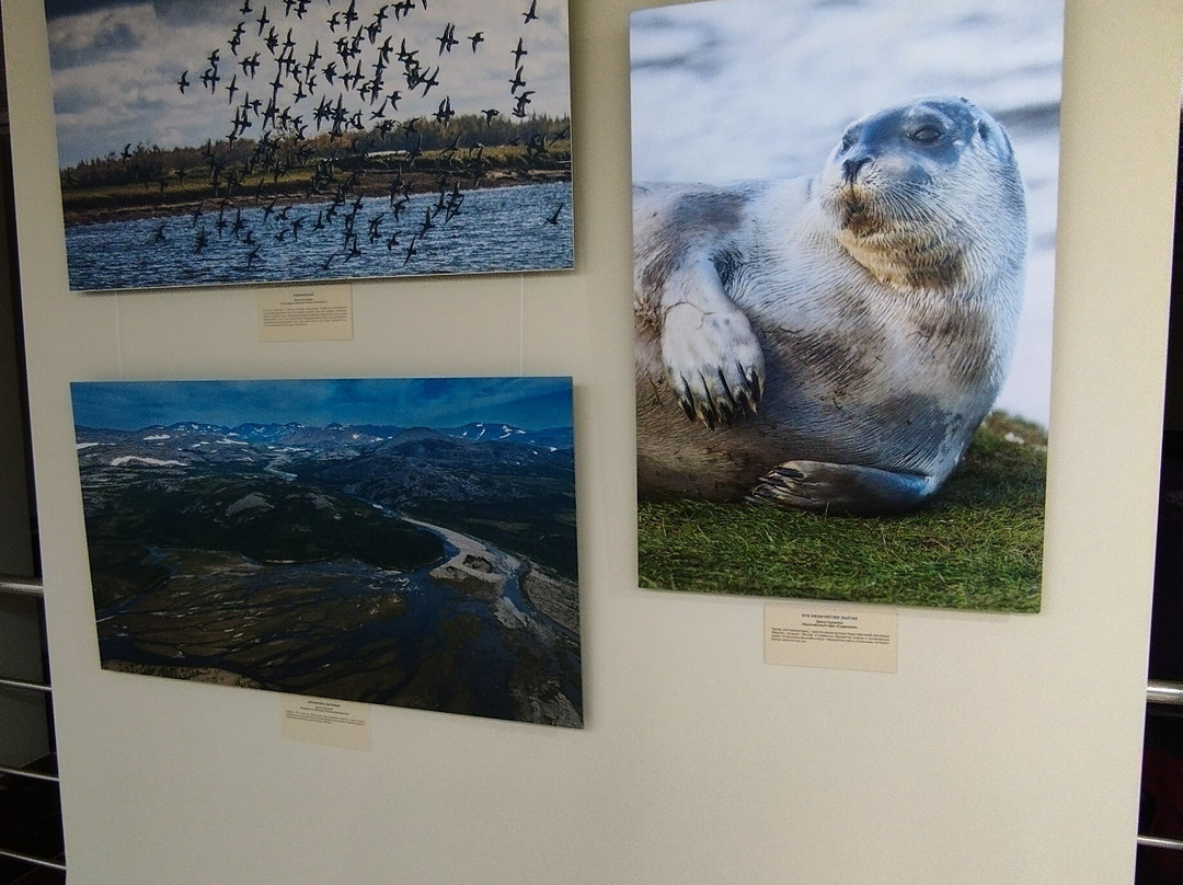 Yamalo-Nenets Okrug Museum and Exhibition Complex Named After I.S. Shemanovsky-Salekhard必去景点