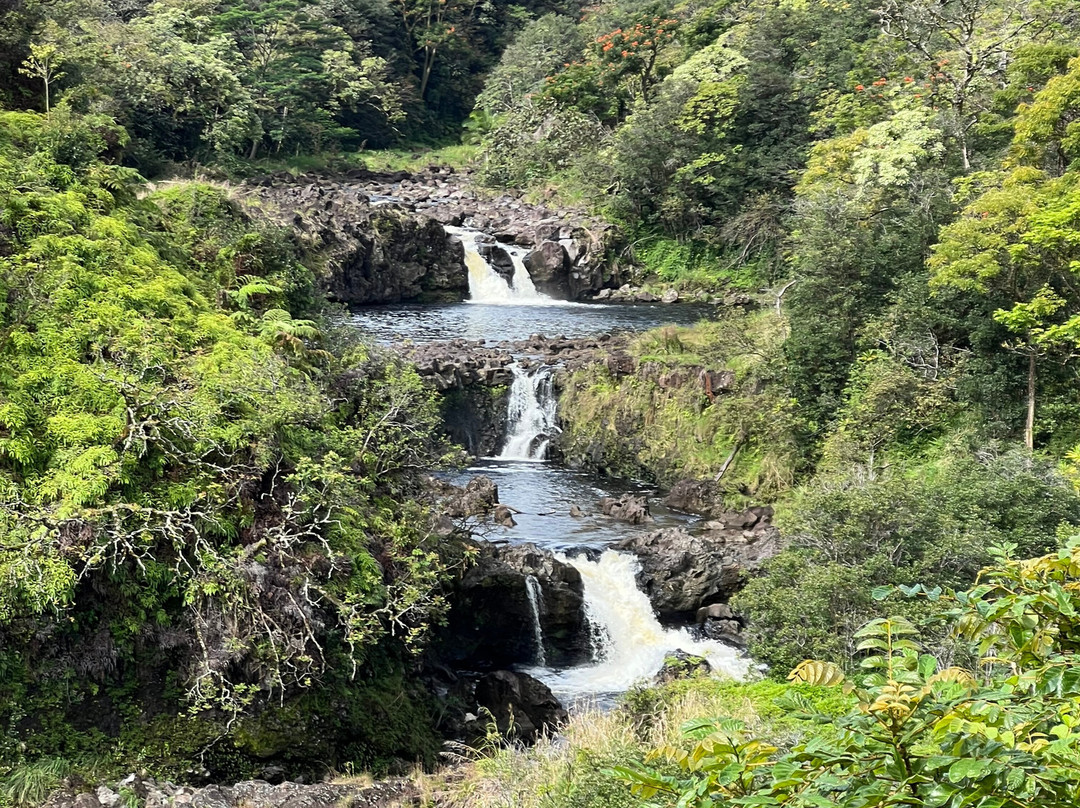威庇欧岭马厩-夏威夷大岛必去景点