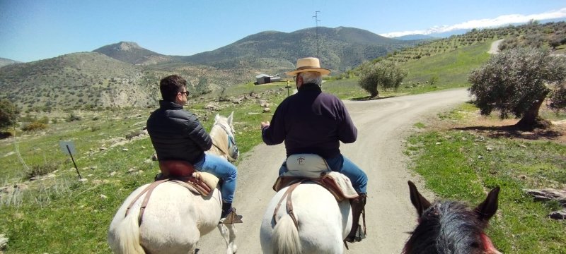 La Posada de Colomera-官方