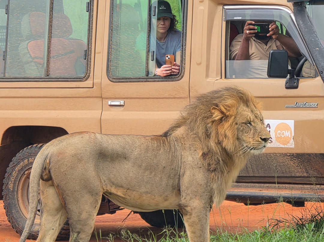 Enjoy Collection Tours and Safaris-马林地必去景点