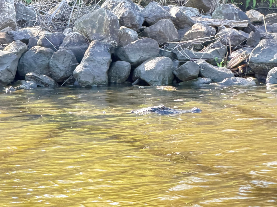 Ultimate Swamp Adventures-Westwego必去景点