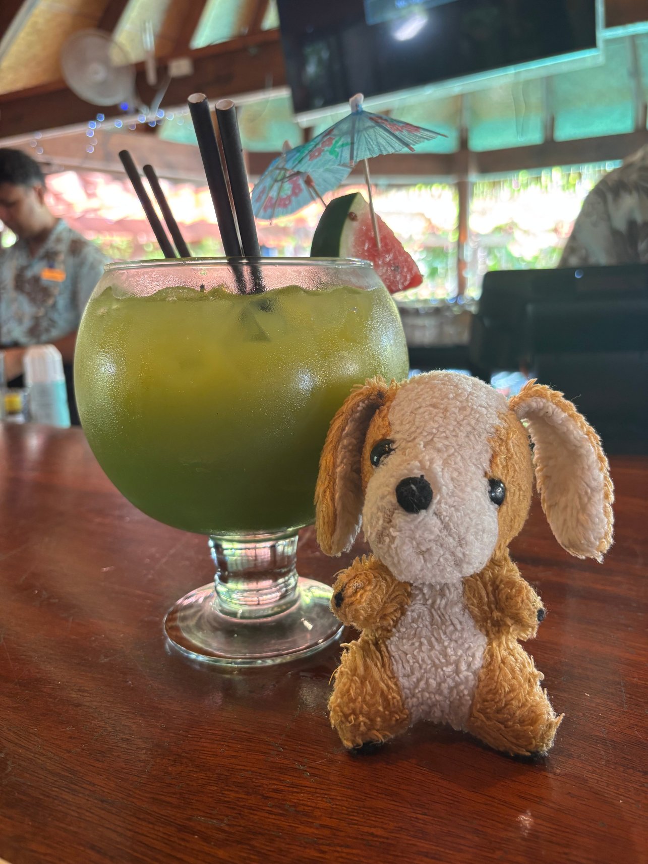 圣拉罗汤加海滩酒店（限成人）-官方