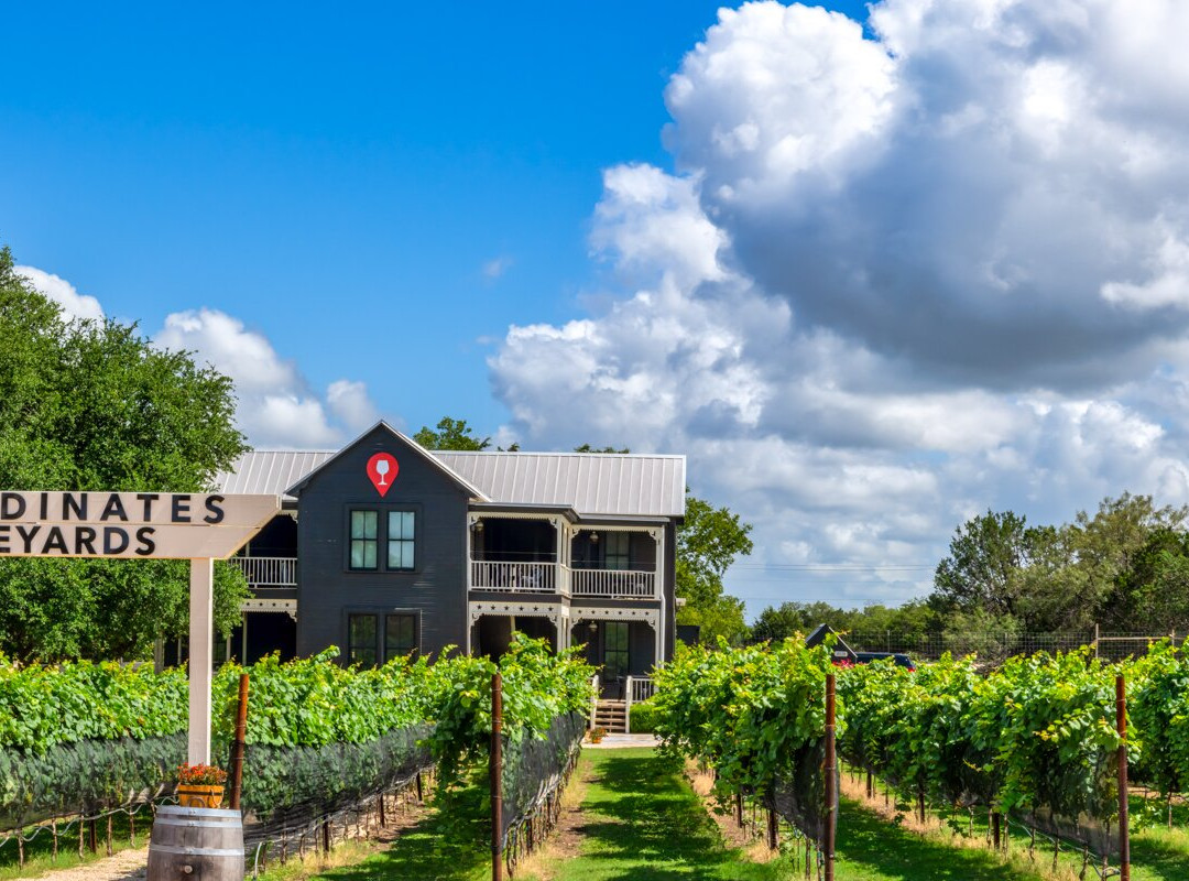 Coordinates Vineyards