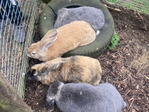 Thrift Farm-Whaddon必去景点