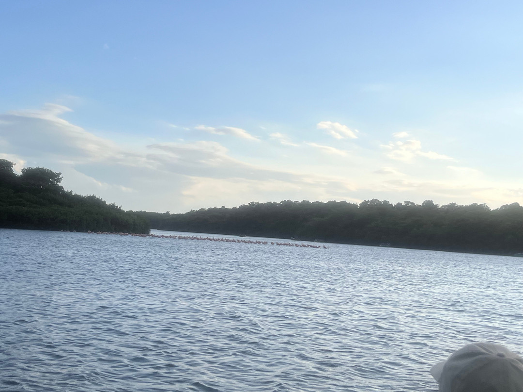 Nanan's Caroni Bird Sanctuary Tours-Caroni必去景点