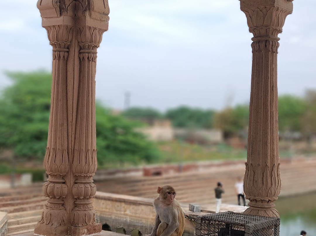 Taj Way Cabs-新德里必去景点