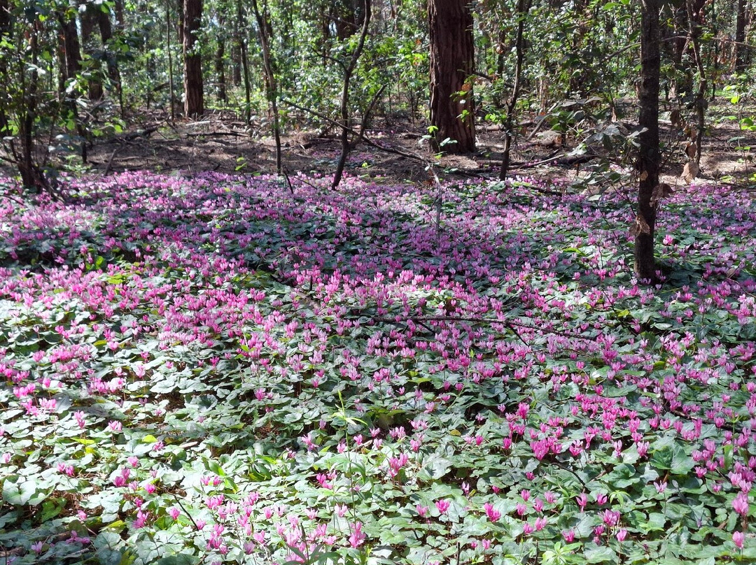 萨包迪亚贝斯特韦斯特优质Spa酒店主图
