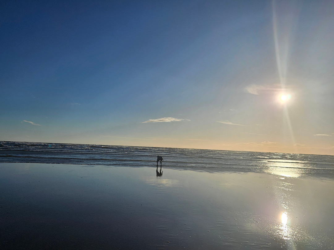 Seascale Beach-Seascale必去景点
