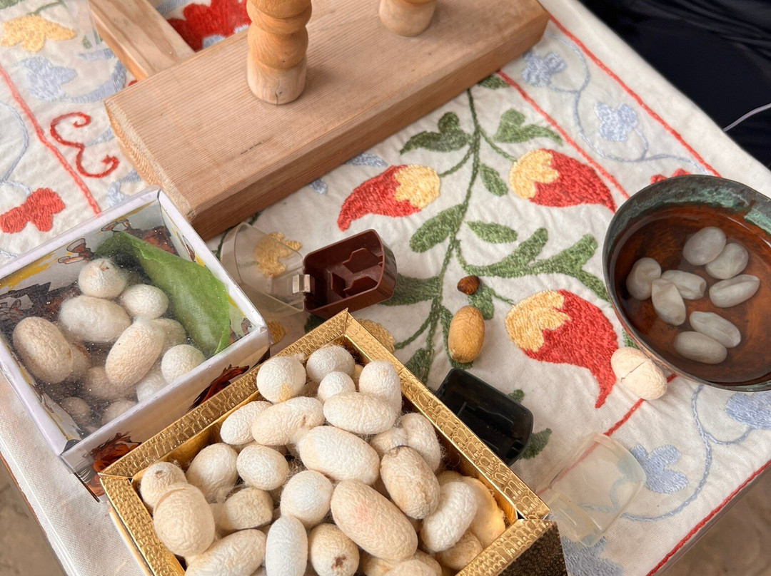 Khorezm Silk Museum-希瓦必去景点