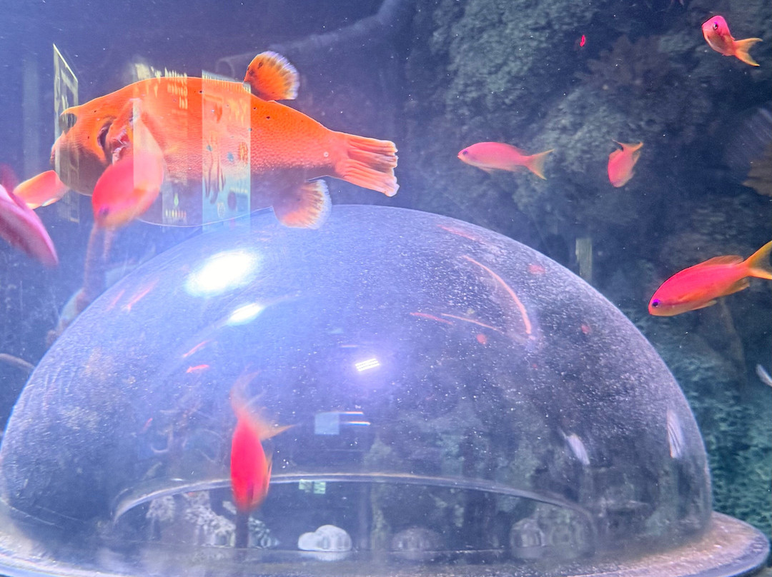 St Andrews Aquarium-圣安德鲁斯必去景点