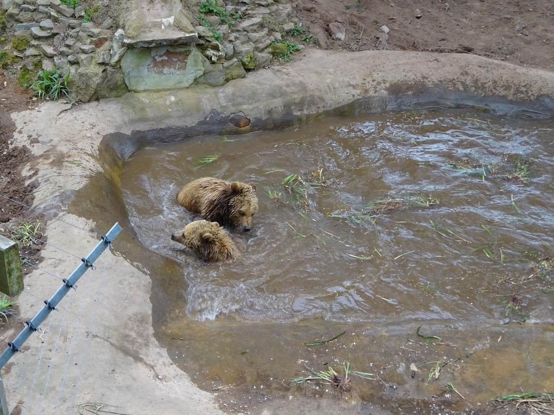 Wildwood Devon-Ottery St. Mary必去景点