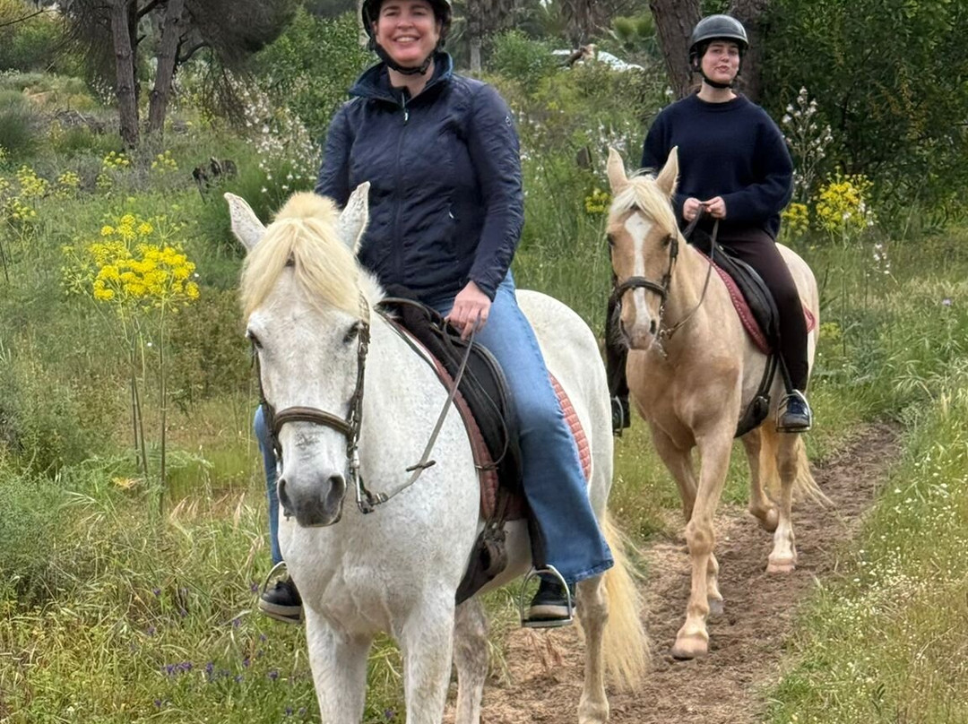 Clube Equestre A Palmeirinha-Almancil必去景点