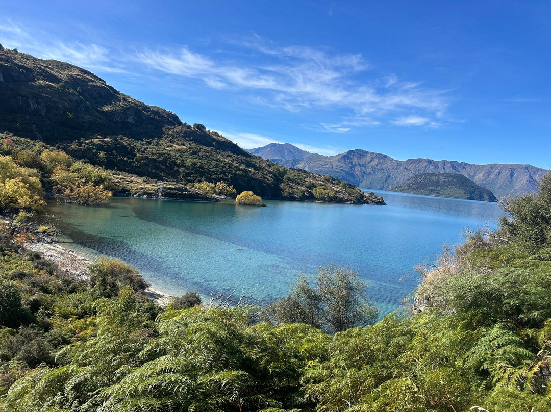 Wanaka Horse Trekking-瓦纳卡必去景点