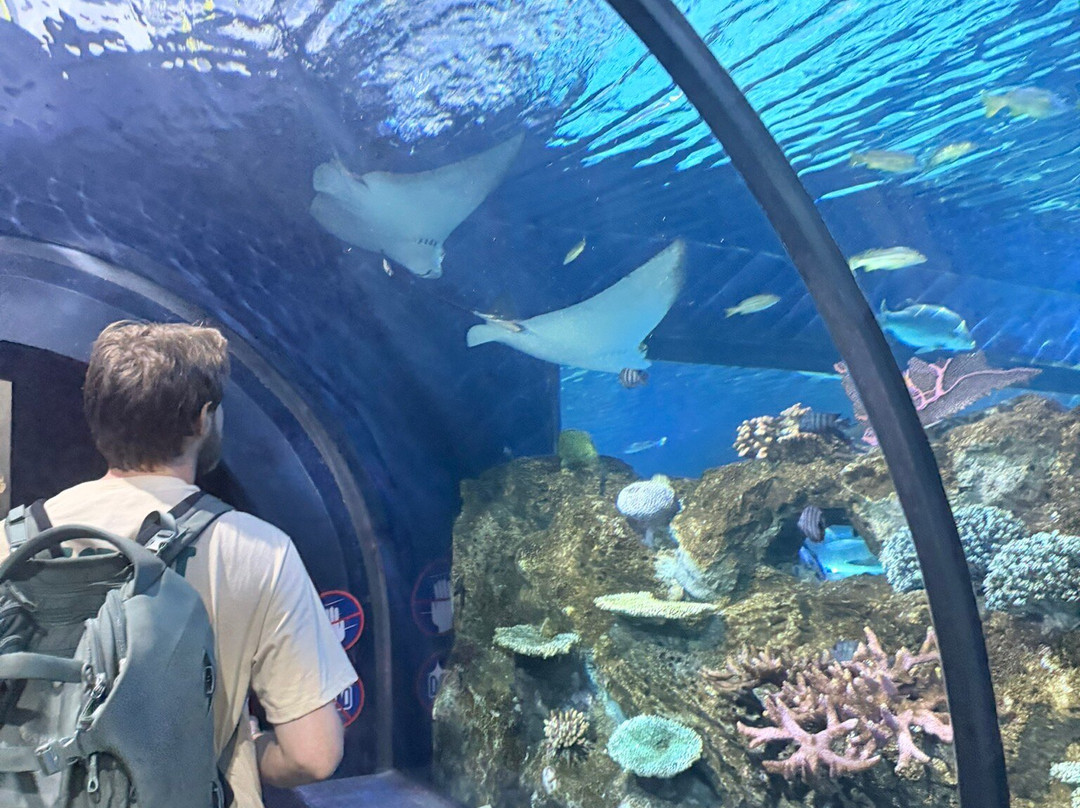 Angkor Wildlife & Aquarium-暹粒必去景点
