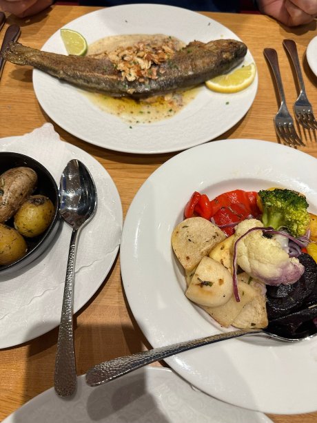 Rhein-Hotel Bacharach-旅行者