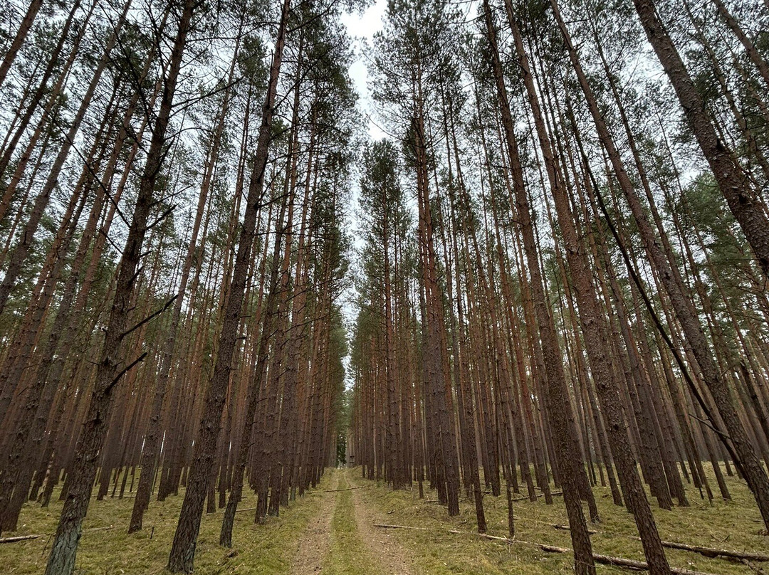 Forsthaus Strelitz主图