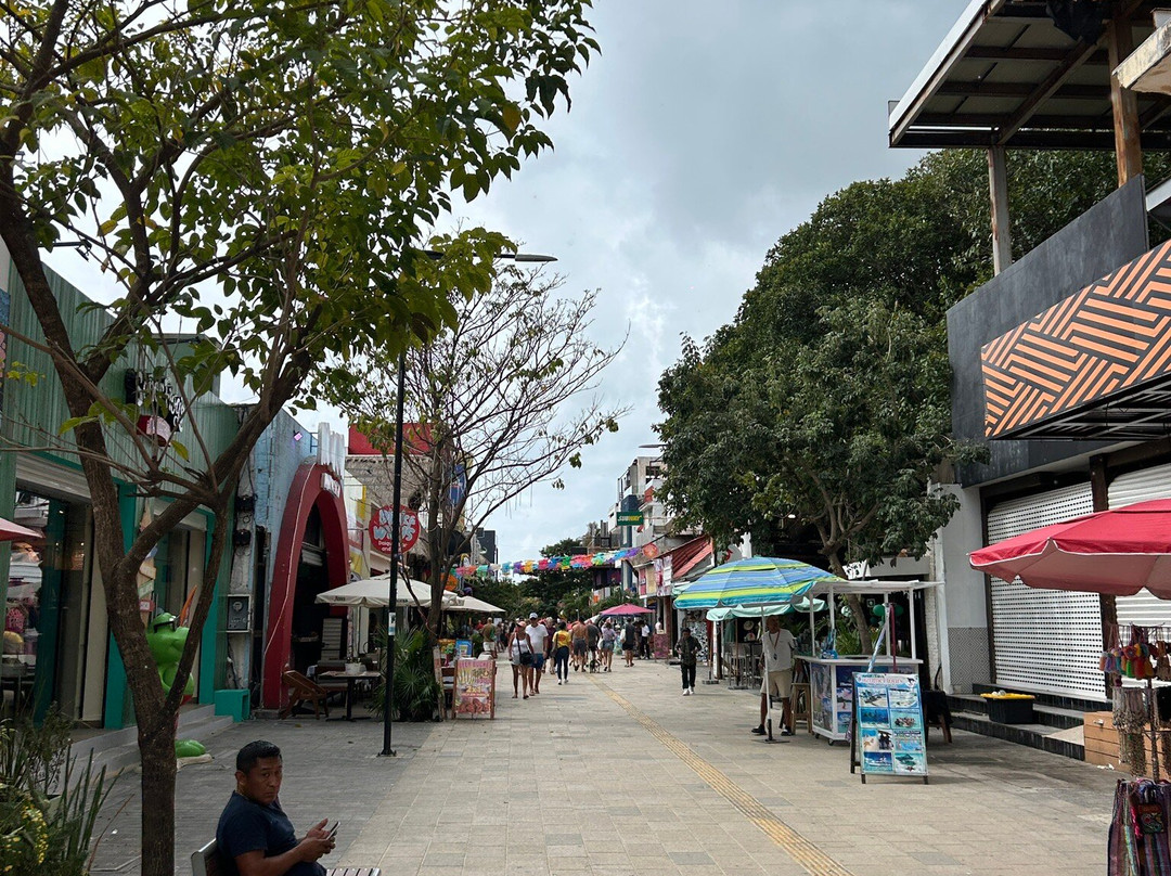 Quinta Avenida-普拉亚德尔卡曼必去景点