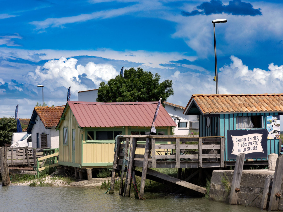 L'aigrette 2 Seudre Croisières-Mornac sur Seudre必去景点