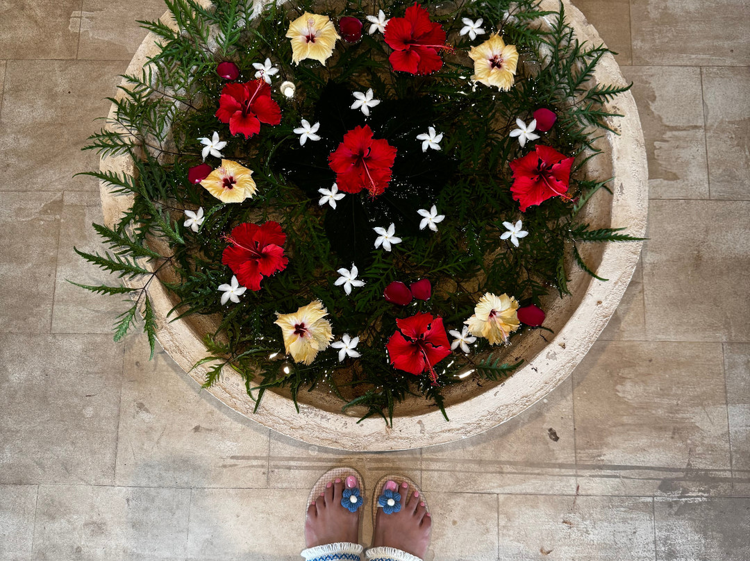 喀拉拉邦泰贝卡Spa度假村主图