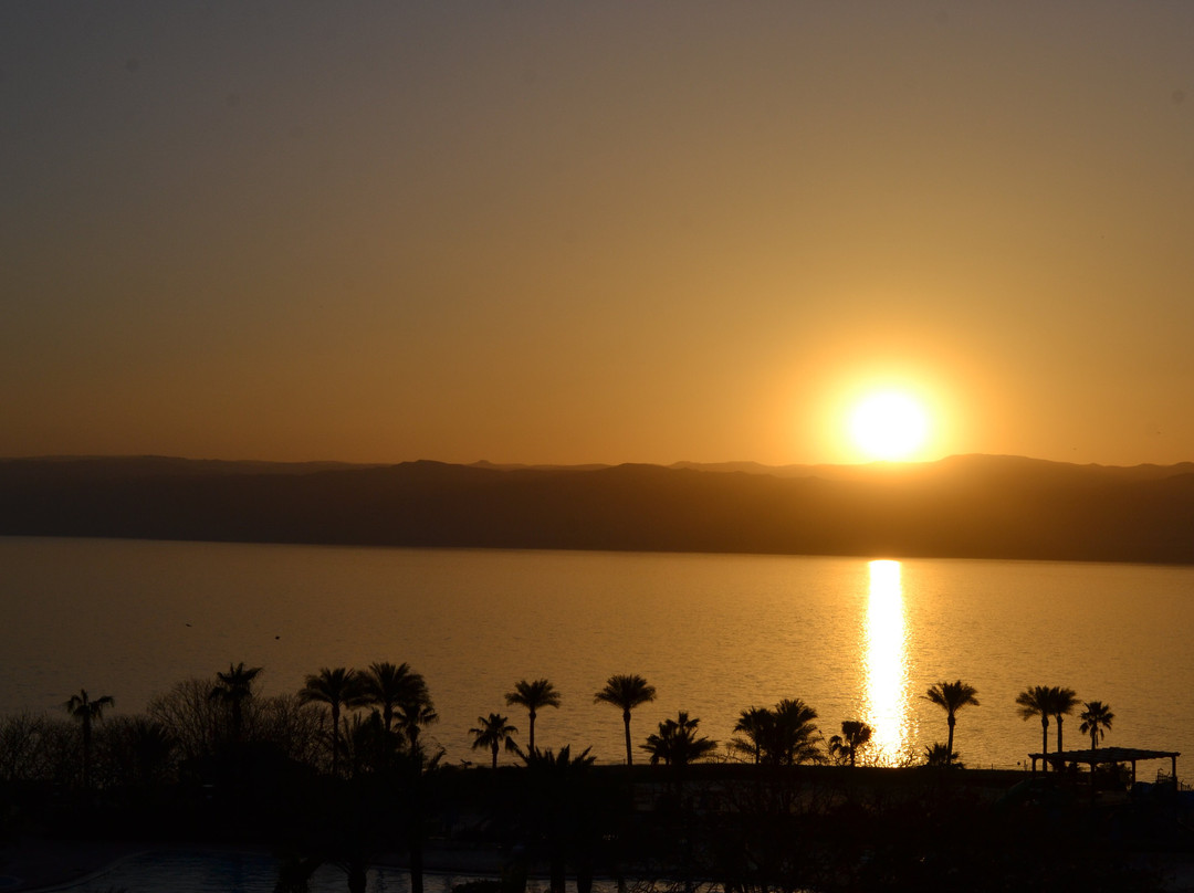 Dead Sea-达纳必去景点